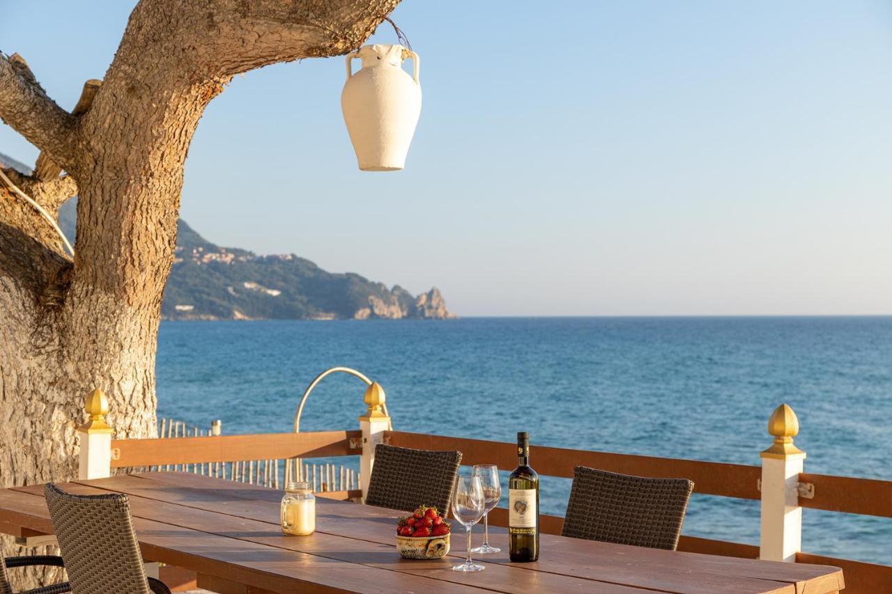 Villa Renata & Villa Filippos With Private Plunge Pool By Konnect Agios Gordios  Dış mekan fotoğraf